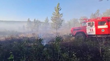 Крупный природный пожар разгорелся в Жамбылской области.