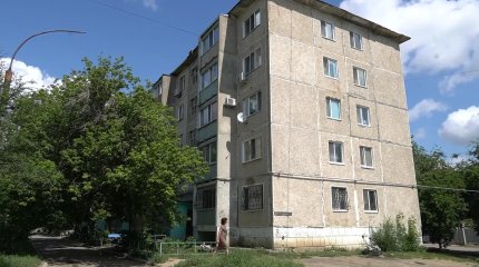 Они тут пешком ходят: костанайцы пожаловались на нашествие крыс