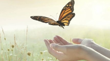 Весы, не спешите с выводами, Водолеи, не упустите свой шанс: советы звёзд в последний день лета