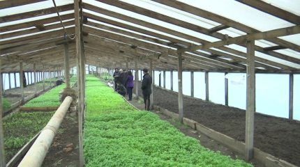 Кәсіпкерлікті дамытуға арналған ұлттық жобалар жоспарына сәйкес Ақтөбе облысында 53 мың адам жұмыспен қамтылады