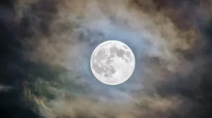 Бразилиялық суретші Айға арт-голограмма жібермекші