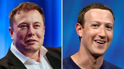 Бой миллиардеров Маска и Цукерберга будут транслировать в Twitter