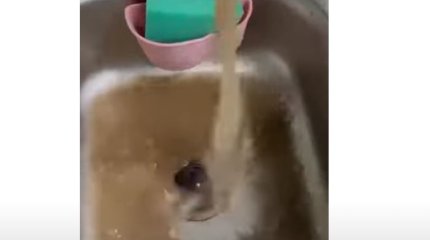 Жители Туркестанской области пьют воду с песком и глиной