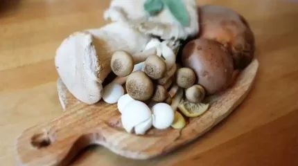 Аустралияда әйел бұрынғы күйеуінің туыстарын түскі асқа шақырды: 4 қонақтың үшеуі қайтыс болды