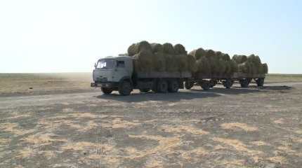 "Агроөнеркәсіп кешеніне нақты серпіліс қажет",-Мемлекет басшысы