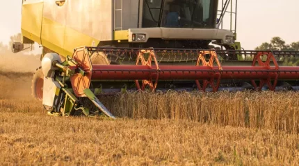 Ақмолада егін орағы тоқтап қалды: шаруалар шығынға белшесінен батты