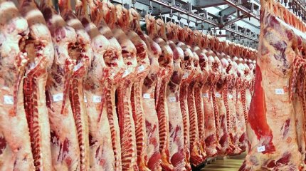 Қазақстанда ет өндірісі 7%-ке артты