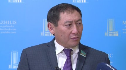 «Президент айтқан мәселелер заңмен бекітілуі тиіс», - депутат