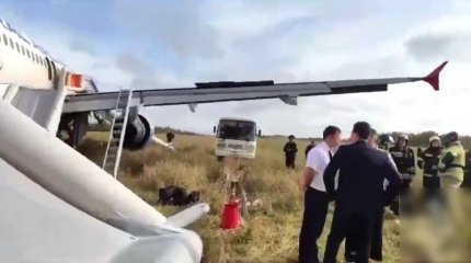Казахстанцы оказались на борту самолета, экстренно севшего в поле под Новосибирском