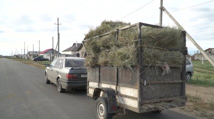 Павлодарда ауыл халқы шөпті несиеге алуға мәжбүр