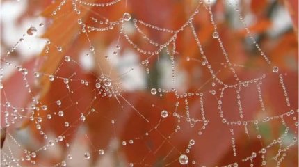 Это бабье лето? Прогноз синоптиков на выходные