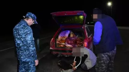 Қарағанды облысында блокбекеттер қойыла бастады