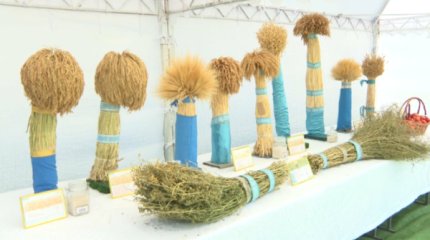 Қызылордалық ғалымдар отандық күріш сұрпын шығарды