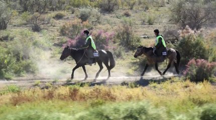 "Ұлы дала жорығы" "Рекорд" командасына қомақты қаржылай сыйлық бекітілді