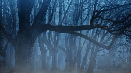 Екпінді жел мен тұман: Қазақстан бойынша19 қыркүйекке арналған күн райы болжамы