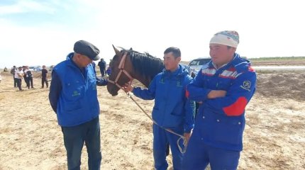 Ұлы дала жорығында маңғыстаулық шабандоз рекорд жасады