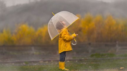 Первые осенние выходные будут прохладными и дождливыми, - синоптики