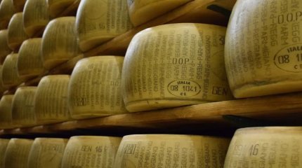 Чипировать свой пармезан начала Италия