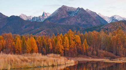 Абай облысында қоршаған ортаға зиян келтіргендерден 100 млн теңге өтелді