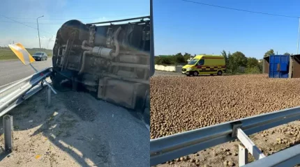 Павлодар облысында картоп тиелген КамАЗ аударылып қалды