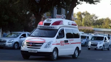 Өзбекстанда 70-тен аса бала уланып аурухана түсті