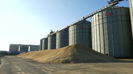«Фермеры без внимания не останутся»: глава Минсельхоза встретился с аграриями СКО