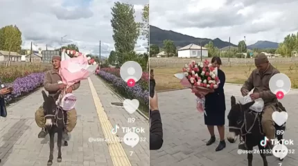 Әйелінің туған күніне деп есекпен гүл тасыған ер адам көпшілікті тәнті етті