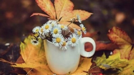 Весы будут нарасхват, Стрельцы, не берите в долг: гороскоп на воскресенье