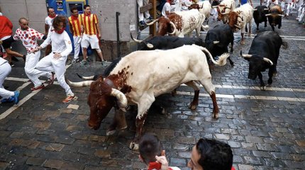Бык насмерть забодал мужчину на фестивале в Испании