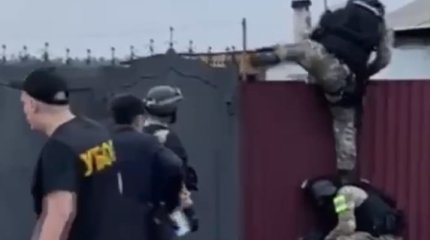 Масштабная спецоперация в резервате: руководство “Ертіс орманы” подозревают в расхищении леса