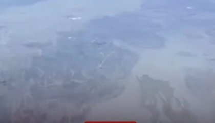 "Воды нет!": высыхающий Каспий показал пилот с высоты полёта