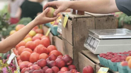 "4 жыл бойы бақылау жүргізілмеді": Қазақстанда сауда нүктелеріндегі таразылар тексеріледі