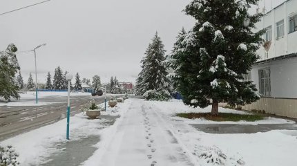 Жители ВКО делятся заснеженными пейзажами