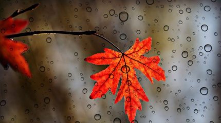 Қазақстанда күн суытады