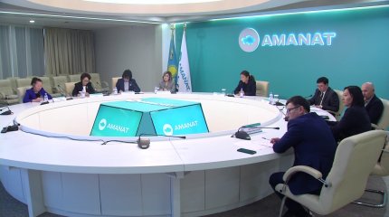 Исключить мораторий на проверку детских организаций предлагает уполномоченный по правам ребёнка
