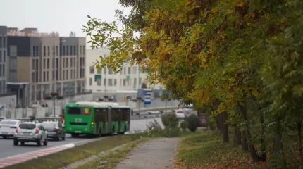 "27 градус жылы, жауын-шашынсыз": бүгін еліміздің ірі қалаларында ауа райы қандай болады?