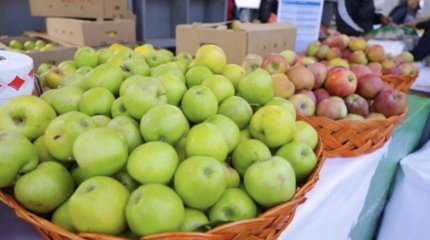 Сельскохозяйственные ярмарки начались в Астане