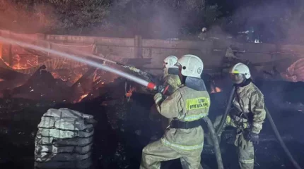 Алматыда екі қабатты монша өртенді