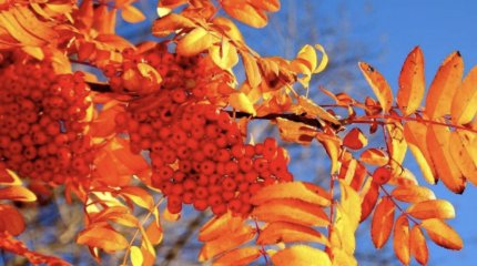 «Я календарь переверну…»: гороскоп на 3 сентября