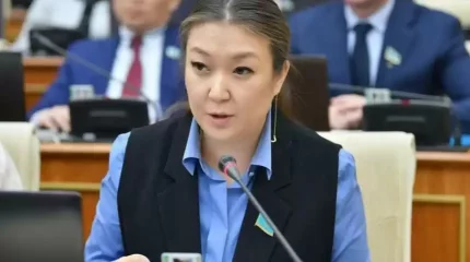 Динара Зәкиева заңға бала жәбірлегендерді жазалайтын арнайы бап енгізуді ұсынды