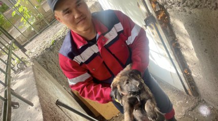 Щенок чуть не погиб, а после - обрел дом в Усть-Каменогорске