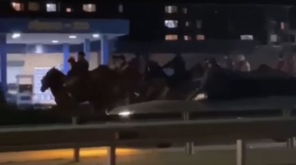 Кокпар на оживленной трассе устроил житель Конаева