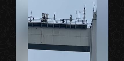 Мужчину сняли с моста в Семее