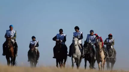 Қазақстанда ат спортының жаңа түрі пайда болды