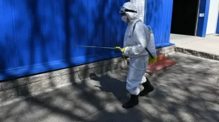 Ақмола облысында сібір жарасын жұқтырғандар саны артты