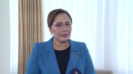 "Өз өнімімізді сатып алуға деген патриотизм болу керек", - депутат