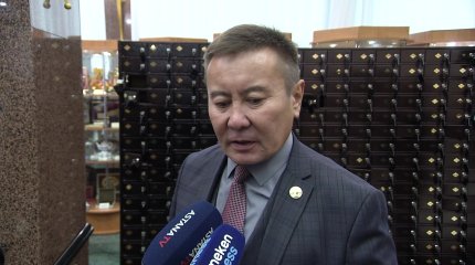"Өндірісі өркендеген елге айналуымыз керек", - депутат