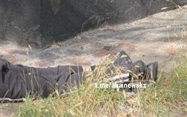 Поливал цветы на балконе и погиб: смерть мужчины потрясла жителей Семея