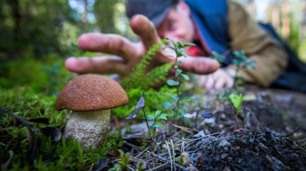 Пожилой грибник потерялся в Бурабае и прошел 16 километров по лесу