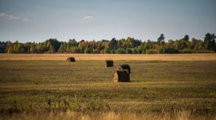 Қазақстанда 30 градус ыстық болады
